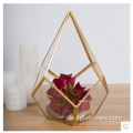 Pflanzen Glas Terrarium Geometrisch Pentagon Farn Moos